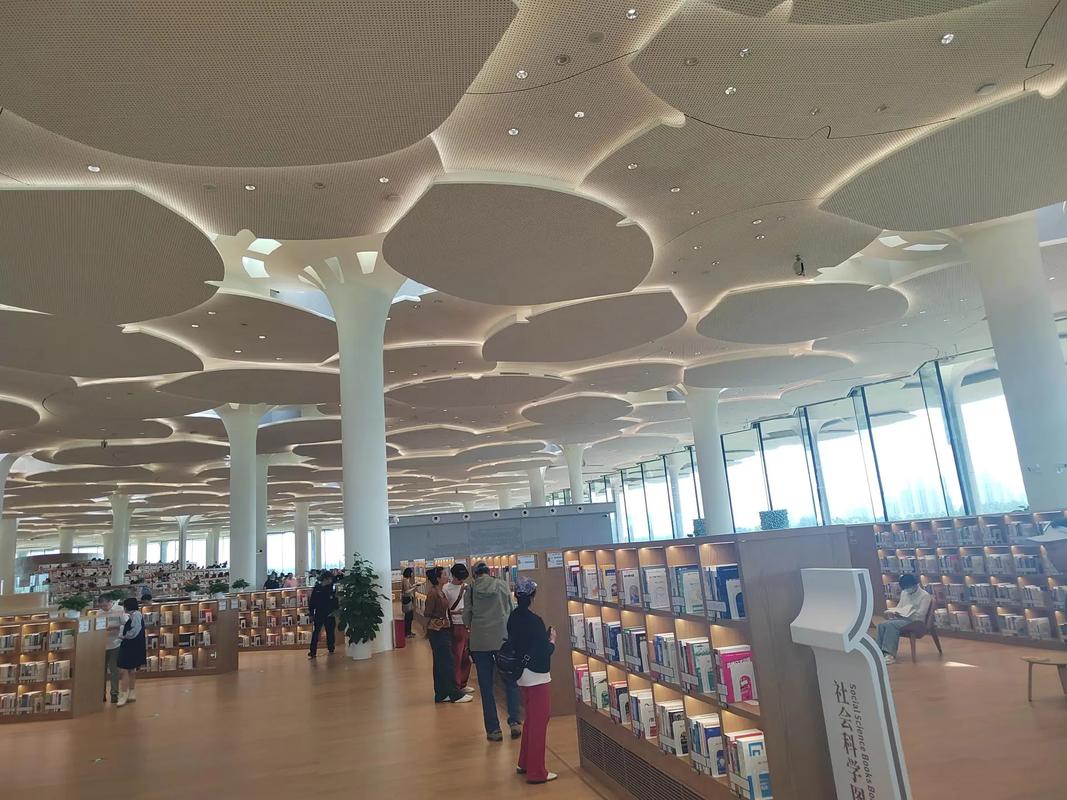 書本中的世界殿堂 走進北京城市圖書館的震撼與沉思